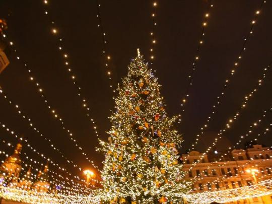 елка на Софийской площади