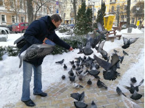 Мужчина кормит голубей зимой в Киеве