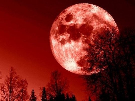 кровавая луна