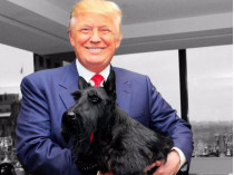 Трамп и собака