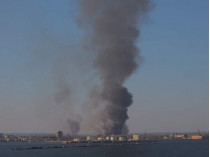 Улицы усыпаны пеплом: в Одессе масштабный пожар (фото)