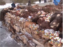 Жертвоприношение верблюдов в Иркутской области
