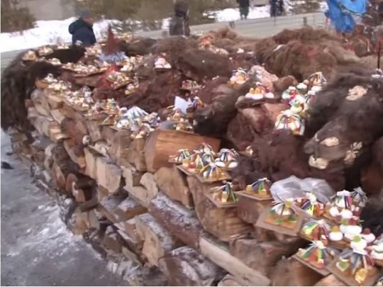 Жертвоприношение верблюдов в Иркутской области