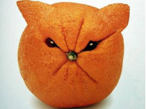 злой апельсин