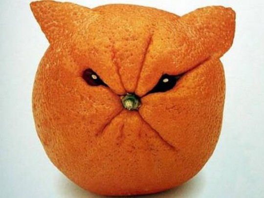 злой апельсин