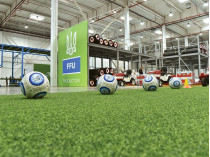 Эволюция футбольного поля: от парковых площадок до инновационных арене