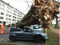Дерево упало на автомобиль в Германии