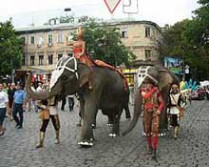 По дерибасовской слонов водили&nbsp;— огромных, индийских&#133;