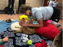 Один из лучших теннисистов мира приютил бездомного щенка (фото, видео)