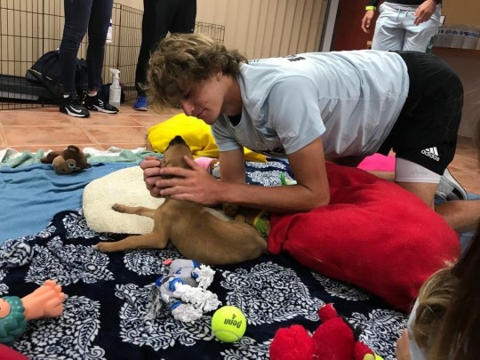 Один из лучших теннисистов мира приютил бездомного щенка (фото, видео)