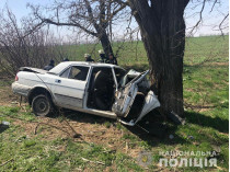 Под Одессой «Волга» врезалась в дерево: два человека погибли 