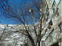 В Николаеве из окна многоэтажки на головы прохожим выкинули кресло (фото)