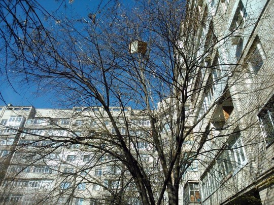 В Николаеве из окна многоэтажки на головы прохожим выкинули кресло (фото)