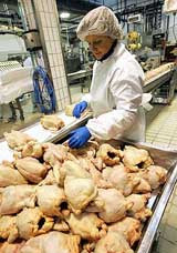 «птица, мясо которой завозится из америки в украину, выращивается без применения антибиотиков»