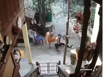 Монах бьют ногами инвалида