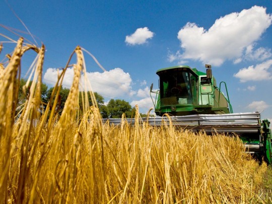 Украина стала одним из главных поставщиков продовольствия в Евросоюз