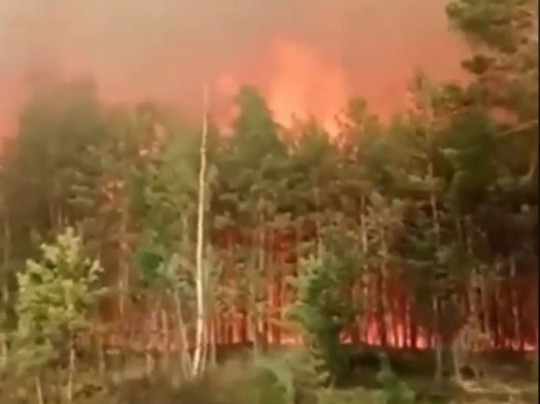 Пожар в Ровенской области