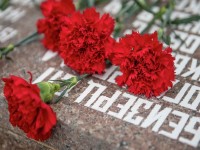 Гвоздики