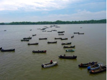 рыбаки перекрыли Дунай