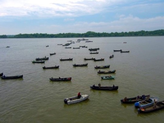 рыбаки перекрыли Дунай