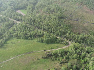 100 гектаров леса снесло за считанные минуты: в сети показали впечатляющие фото последствий торнадо на Житомирщине