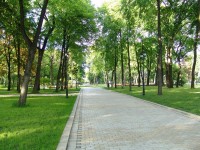 парк в Киеве