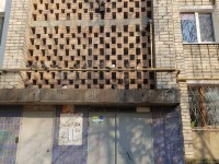 замурованные голуби