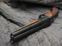 Очевидно, в пару стреляли из обреза