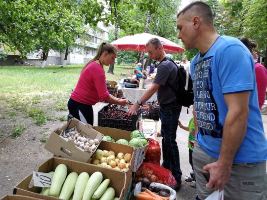 продуктовая ярмарка в Киеве летом
