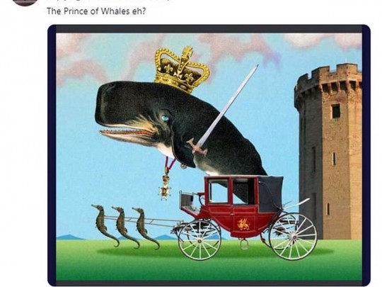 Рисунок кита в короне и в карете