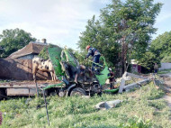 Под Киевом грузовик с коровами попал в смертельное ДТП (фото)