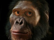 В Африке обнаружили древнейшее человекоподобное существо