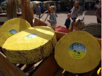 Сыр из дерева