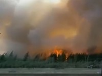 Лесные пожары