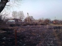 обгоревшая трава