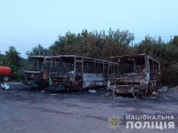 автобусы
