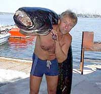65-килограммовый сом, которого загарпунил под водой запорожский спасатель, оттащил рыбака от берега на сто(! ) метров