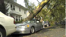 Первый в истории нью-йорка торнадо сбрасывал в воду автомобили и вырывал с корнями деревья