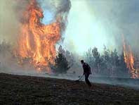 Прижатые стеной огня к отвесной скале, крымский лесник и его супруга задохнулись в дыму