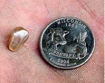 32-летний американский плотник нашел в парке «кратер алмазов» два достаточно крупных бриллианта
