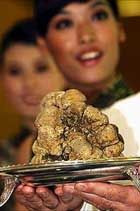 Редчайший гриб&nbsp;— огромный белый трюфель&nbsp;— продали за 330 тысяч долларов