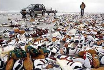 Море выбросило на голландский остров тысячи&#133; Новеньких кроссовок