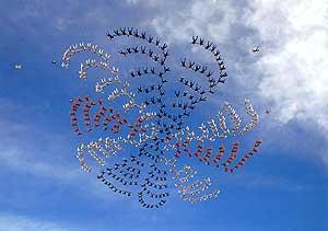 Новый рекорд книги гиннесса установлен в таиланде: 400 парашютистов построили в небе «ромашку» из собственных тел