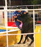 На «играх патриотов» разъяренный бык поднял телеведущего андрея малахова на рога&#133;