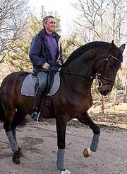 На всемирных конных играх в аахене украинская сборная впервые завоевала олимпийскую лицензию