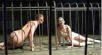 В спектакле «ромео и джульетта» андрея жолдака 42 актера выходят на сцену абсолютно голыми!
