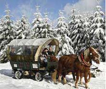 В нидерландах из-за снегопада образовалась автомобильная пробка длиной 800 километров