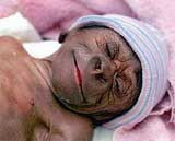 В америке родился детеныш гориллы с человеческими чертами