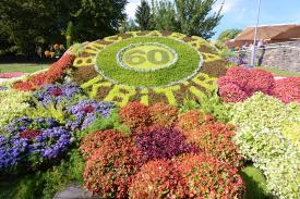 В Киеве открылась 60-я городская выставка цветов "Цветочный оберег"