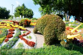 Виставка квітів на Співочому полі «Українське. Своє. Особливе. V.S. ».